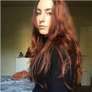 Studentessa universitaria offre lezioni di storia, storia dell’arte, italiano, matematica (medie) e pittura, disegno (no tecnico)